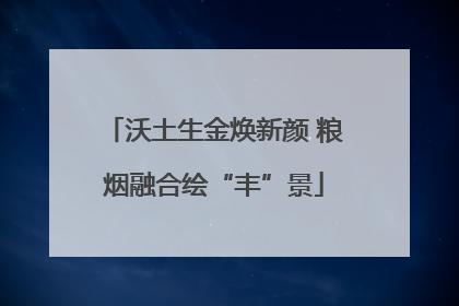 沃土生金焕新颜 粮烟融合绘“丰”景